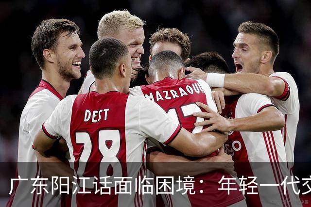 广东阳江话面临困境：年轻一代交流不足引发担忧